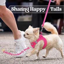 2件組小型犬胸背帶與牽繩套裝，穿入式幼犬寵物背心，輕量柔軟透氣網布，附魔鬼氈，穿脫方便，安全反光設計，適合散步，狗狗胸背帶 - 彩色 - 查看 1