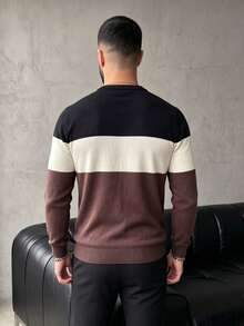 GRDR Men's New Colorblock Striped Crew Neck Long Sleeve Knit Top - Casual Daily Commute - Brown - View 6