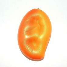Soft Golden Mango Slow Rebound Scented Fruit Squishy Toy - Multicolor - View 2