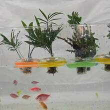 4pcs Water Planting Pots, Suitable For Hydroponic Green Plants And Aquarium Landscaping, Float On Water Without Sinking. Includes 4 Floating Holders In Random Colors + 4 Mesh Grids +4 Cleaning Sponge Strips - A - View 5
