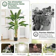 Large Artificial Banana Tree Floor Planter, Suitable For Indoor Living Rooms And Shops. Easy To Clean And Maintain With Daily Wiping. Perfect For Placement In Corners Near Floor-To-Ceiling Windows And Guesthouses. - Green - View 2