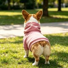 可愛狗狗連帽衛衣寵物衣服 適合博美犬、柯基犬、巴哥犬、比熊犬 春秋新款 - 淺粉色 - 查看 2