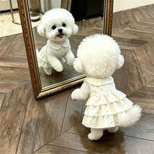 1 buah Rok Kue Berlapis untuk Anjing/Kucing Peliharaan, Gaun Putri Ringan dan Lembut untuk Musim Semi/Panas, Cocok untuk Teddy Poodle dan Hewan Peliharaan Kecil Lainnya - Putih - View 10