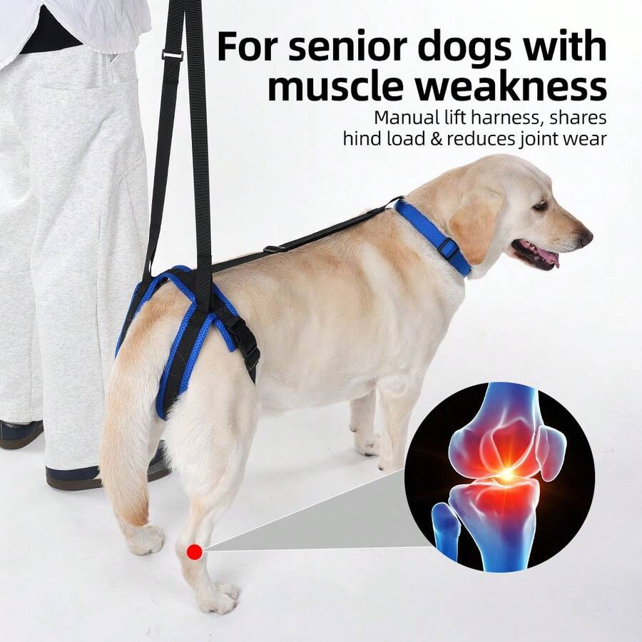 Supporting Belts For The Back Legs Designed For Elderly Dogs, Disabled Dogs And Injured Dogs, Post-Surgery Rehabilitation Walking Assistance Belts, Dog Leashes, Walking Assistance Ropes. Collar Leash And Pendant Dog Set (For Two-In-One Use) - Multicolor - View 1