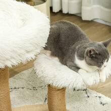 Árbol rascador para gatos, árbol de juegos, poste rascador, escalera, 5 niveles, beige gris, 48.5 x 48.5 x 100 cm (LxWxH), On-Site - Blanco + Madera - Ver 4