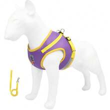 High Visibility Reflective Dog Harness, Breathable Mesh Pet Vest Harness, Adjustable Chest Strap For Small And Medium Dogs, Comes With Matching Dog Leash, Suitable For Night Walks - Multicolor - View 73