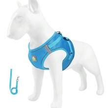 High Visibility Reflective Dog Harness, Breathable Mesh Pet Vest Harness, Adjustable Chest Strap For Small And Medium Dogs, Comes With Matching Dog Leash, Suitable For Night Walks - Multicolor - View 10