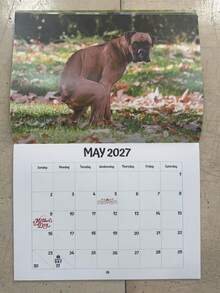 2027 Calendar Dog Pooping In Beautiful Places Funny Gag Gift Thick Paper Wall Calendar Christmas Home Decor Planner Schedule - Multiple Styles - View 1