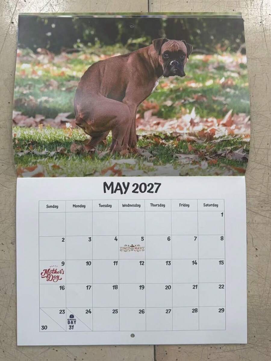 2027 Calendar Dog Pooping In Beautiful Places Funny Gag Gift Thick Paper Wall Calendar Christmas Home Decor Planner Schedule - Multiple Styles - View 1