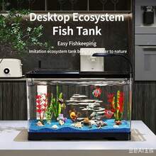附蓋魚缸、家用烏龜缸、小型至中型水耕水族箱、客廳透明金魚缸、小型桌面造景烏龜缸、客廳微景觀水族箱 - 黑色 - 查看 5