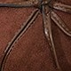Coffee Brown