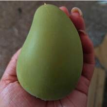 Handmade Crispy Mango Stress Ball Squeeze Toy, Color-Changing Mango Squeeze Stress Relief Ball, ASMR Sensory Decompression Toy - Multicolor - View 7