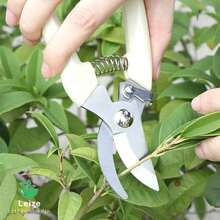 Garden Pruning Shears - Made Of High-Quality Stainless Steel - Easy To Operate - Specifically Designed For Pruning Thick Branches Of Fruit Trees (Available In Two Sizes And Two Colors) - Garden Shears - View 7