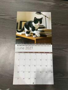 2027 Monthly Calendar Planner - Cute Cat Selfie Design, 12-Month Layout (January To December), Suitable For Home And Office Use, Cute And Fun Aesthetic Style Calendar, Christmas And Halloween Holiday Decoration, Small Gift - Multiple Styles - View 3