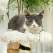 Árbol rascador para gatos, árbol de juegos, poste rascador, escalera, 5 niveles, beige gris, 48.5 x 48.5 x 100 cm (LxWxH), On-Site - Blanco + Madera - Ver 3