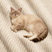 Corner Sofa Modular Beige 2 Seaters - Corduroy Fabric - 米色 2 人座 - 查看 7