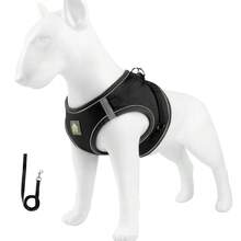 High Visibility Reflective Dog Harness, Breathable Mesh Pet Vest Harness, Adjustable Chest Strap For Small And Medium Dogs, Comes With Matching Dog Leash, Suitable For Night Walks - Multicolor - View 8