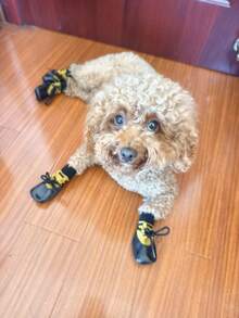 Dog Outdoor Waterproof Shoe Covers, Lace-Up Anti-Slip Pet Shoes And Socks, Wear-Resistant Anti-Slip Paw Protection Walking Shoes - Mustard Yellow - View 6