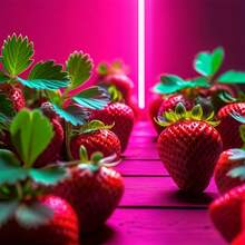 5V Flexible Neon Light Cute Pink Multicolor USB Neon Rope Light, Perfect For Home Decor, Balcony Decor, Car Decor, Floral Plants, Halloween Decor, DIY Style Dimmable - Multicolor - View 7