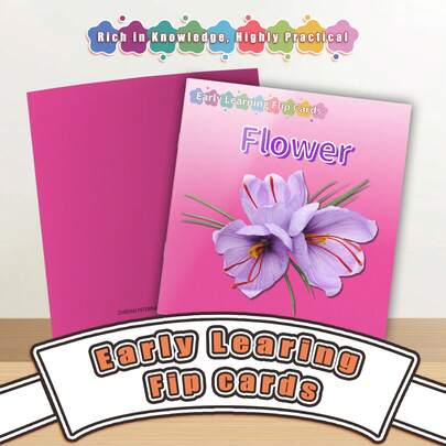 Fun Visual Flip Cards, Explore Insects, Object Recognition, Transportation And Flowers, Interactive Vocabulary Cards, Excellent Learning Tool For Home And School