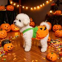 Halloween Pet Pumpkin Harness Costume, Funny Holiday Dress-Up Outfit For Small Cats And Dogs - Orange - View 3