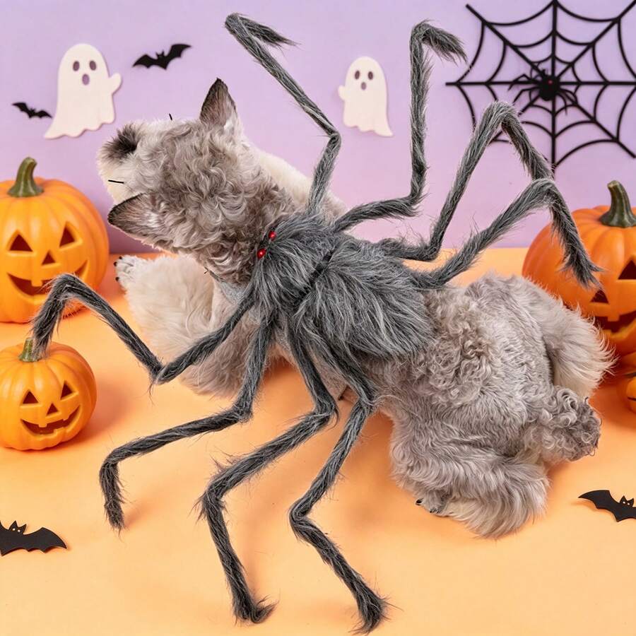 HaoX Pet Spider Cosplay Costume Set, Halloween Funny Dress-Up Outfit, Holiday Gift Party Decoration Clothes, Cat & Dog Transformation Costume(Cat Halloween,Dog Stuff,Dog Costumes Halloween)Puppy Keep On She In Black Cat Costume Puppy Dog Cat Clothes - Multicolor - View 1