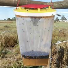 1pcs Hanging Fly Bags, Outdoor Hanging Stable Fly Traps, Fly Control, Reusable, Ideal For Farms, Orchards, And Homes. - Random Color - View 7