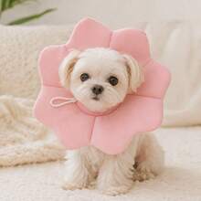 Soft Petal Pet Recovery Collar, Adjustable Elizabeth Collar, Suitable For Cats And Small Dogs, Anti-Licking Anti-Scratching Protective Cone - View 9