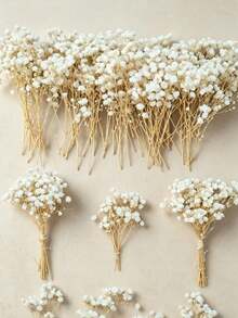 25/50/100pcs Artificial White Mini Dried Baby's Breath Flowers, Ivory Color, Suitable For Vase, Wedding, Home, Office, Party, Garden, Card Making Decoration, DIY Decor - Milky White Baby's Breath - View 8