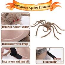 HaoX Pet Spider Cosplay Costume Set, Halloween Funny Dress-Up Outfit, Holiday Gift Party Decoration Clothes, Cat & Dog Transformation Costume(Cat Halloween,Dog Stuff,Dog Costumes Halloween)Puppy Keep On She In Black Cat Costume Puppy Dog Cat Clothes - Multicolor - View 8