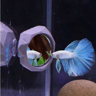 1pc Minimalist Practical Plastic Suction Cup Octagonal Mirror For Betta Fish Training, Suitable For Aquarium Internal Decor And Daily Fish Training