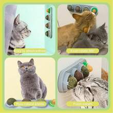 1PC 4-In-1 Silvervine Wall Ball Sticker - Indoor Cat Wall-Mounted Silvervine Toy, Silvervine, Silver Vine, Gall Fruit Flavors, Rotating Cat Licking Ball, Relieves Boredom And Interactive Play Toy For Kittens - Multicolor - View 4
