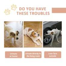Pet Toilet Training Inducer Spray, Pet Litter Box Training Inducer, Pet Toilet Training Inducer - View 10