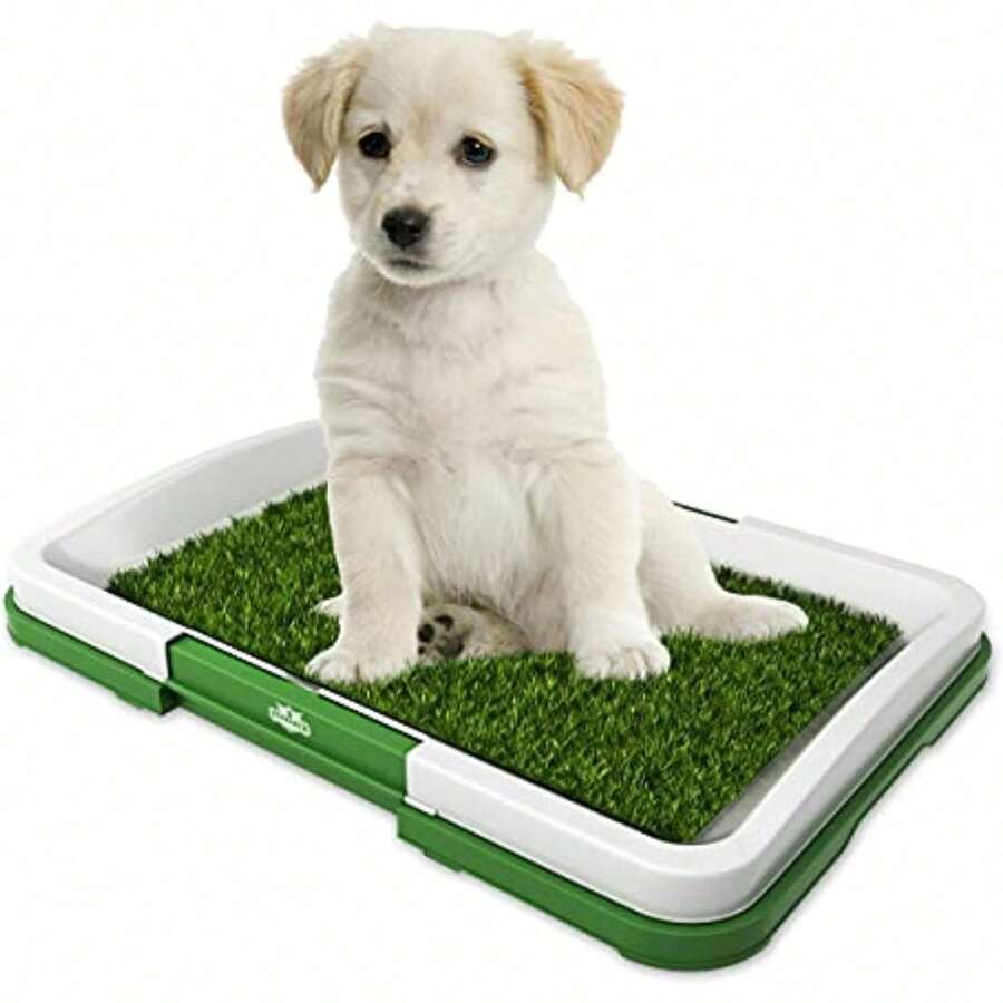 Pet Urine Pads/Diapers