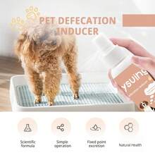 Pet Toilet Training Inducer Spray, Pet Litter Box Training Inducer, Pet Toilet Training Inducer - View 11