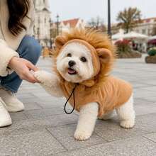 New Pet Headwear Dog Hat Cute Fashion Lion Design Adjustable Hooded Sweatshirt Soft Skin-Friendly - Khaki - View 1