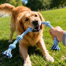 1pc/4pcs 60cm Multicolor Knotted Dog Toy Set, Multi-Color Braided Knot Pull & Chew Toy With Tassel Ends, Suitable For Small, Medium And Large Dogs, Tug Of War Rope, Puppy Daily Interactive Play Accessories, Dog Toys/Puppy Toys/Tug Of War Rope/Dog Stuff - Multicolor - View 3