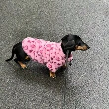 Autumn/Winter Thickened Double-Layer Warm Fleece Pet Pink Leopard Print Soft Coat For Cats And Dogs, Maltese, Abyssinian, Bichon Frise, Outdoor Cold-Proof, Machine Washable, High Quality - Pink - View 4
