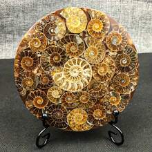 1pc Exquisite 4.33-5.12 Inch Almond-Shaped Round Quartz Slab, Chrysanthemum Stone Slab, Rock And Crystal Display Piece, Home Desktop Decor, Gift For Handmade Enthusiasts, Christmas And Thanksgiving Gift - Multicolor - View 11
