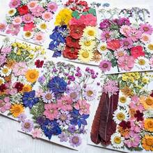 Natural Dried Pressed Flowers For Candle Decoration Resin DIY Crafts, Real Dried Flowers For Bookmark Jewelry Making, Candle Making, Soap Making, Phone Cases, Mirror Decoration, Notebooks, Please Note: The Shape And Color Of The Flowers May Differ From The Images. (Processed And No Pest Risk) - Beautiful Flowers - View 5