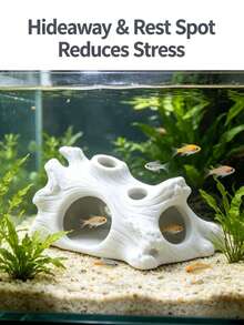 魚缸樹幹裝飾品 多孔魚類躲藏洞穴 鬥魚、孔雀魚、燈魚休息與繁殖棲息處 水族造景裝飾 - 歡樂水族 - 查看 1