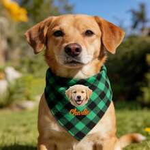 1pc Personalized Dog Plaid Bandana With Name,Custom Dog Neckwear Name Design Plaid Scarf Name,Custom Dog Neckwear Name Design Plaid Sca…Triangle Bibs Kerchief, Pet Christmas Costume Accessories For Small Medium Dogs Cats Birthday Gift - Multicolor - View 2