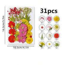 Natural Dried Pressed Flowers For Candle Decoration Resin DIY Crafts, Real Dried Flowers For Bookmark Jewelry Making, Candle Making, Soap Making, Phone Cases, Mirror Decoration, Notebooks, Please Note: The Shape And Color Of The Flowers May Differ From The Images. (Processed And No Pest Risk) - Beautiful Flowers - View 17