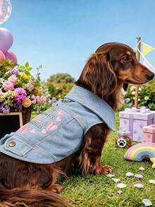 PETCIRCLE 1PC Pet Clothes Small Dog Puppy Cat Cute Pet Autumn/Winter Personalized Collar Design Outdoor With Leash Buckle Mommy's Princess Coat - Blue - View 2