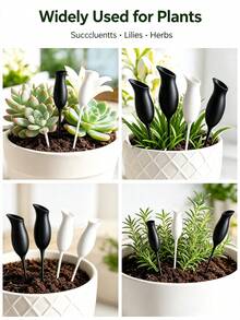 Self Watering Plant Pots, Automatic Drip Irrigation Planter, Cute Cup Design, Plastic Root-Fed System, Vacation Care Indoor Potted Flowers Houseplants, Home Office Desk Windowsill Decor, Gift For Plant Lovers - Multicolor - View 5