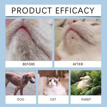 Pet Chin Cleaning Care Set, Gentle Cleaning For Pet Dog And Cat Chin Hair - View 11