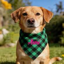 1pc Personalized Dog Plaid Bandana With Name,Custom Dog Neckwear Name Design Plaid Scarf Name,Custom Dog Neckwear Name Design Plaid Sca…Triangle Bibs Kerchief, Pet Christmas Costume Accessories For Small Medium Dogs Cats Birthday Gift - Multicolor - View 4