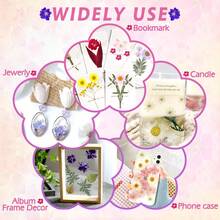 Natural Dried Pressed Flowers For Candle Decoration Resin DIY Crafts, Real Dried Flowers For Bookmark Jewelry Making, Candle Making, Soap Making, Phone Cases, Mirror Decoration, Notebooks, Please Note: The Shape And Color Of The Flowers May Differ From The Images. (Processed And No Pest Risk) - Beautiful Flowers - View 8