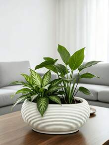 2 Sets Nordic Style Self-Watering Plastic Flower Pots (2 Inner Pots And 2 Outer Pots), With Bird Nest Shaped Horizontal Stripes, Multi-Functional Succulent Planters, Gardening Gift, Home Decor - 2 Sets (2 Planters + 2 Inner Pots) - View 10