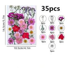 Natural Dried Pressed Flowers For Candle Decoration Resin DIY Crafts, Real Dried Flowers For Bookmark Jewelry Making, Candle Making, Soap Making, Phone Cases, Mirror Decoration, Notebooks, Please Note: The Shape And Color Of The Flowers May Differ From The Images. (Processed And No Pest Risk) - Beautiful Flowers - View 19